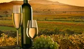 Vinul ecologic – un pahar pentru viata lunga