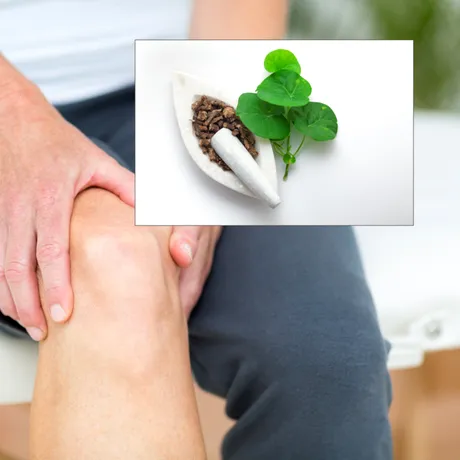 5 plante medicinale pe care le poți combina cu Giloy pentru susținerea sănătății articulațiilor
