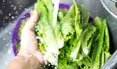 Tipul de salată pe care NU ar trebui să îl speli înainte de consum. Poate crește riscul de contaminare cu bacterii