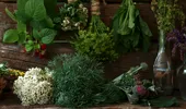 Sucul care arde rapid grăsimea viscerală! Nu are un gust tocmai plăcut, dar e eficient pentru organism