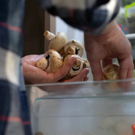 Cel mai bun loc pentru a păstra fructele și legumele: unde să le ții pentru prospețime și durată de viață mai lungă