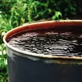 Nu arunca compostul matur! Trucul simplu prin care îl transformi într-un „îngrășământ lichid” pentru grădină