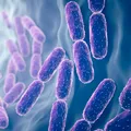 Cercetătorii au creat bacterii care educă sistemul imunitar pentru a distruge cancerul