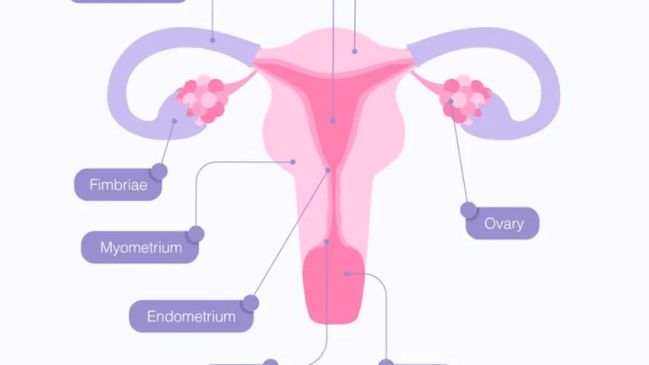 Leziunile benigne ale cervixului (col uterin) - cauze, simptome si tratamente