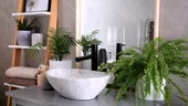 Ce plante poți pune în baie și care sunt cele mai potrivite pentru umezeală