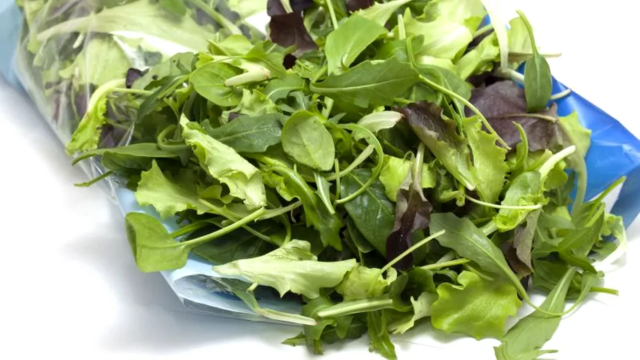 Salata la pungă, sursă de Salmonella şi E.coli