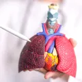 Cancerul pulmonar nu afectează doar fumătorii. Medicul explică factorii de risc pe care mulți îi ignoră