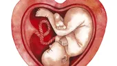 Dr. Mona Zvâncă: morfologia fetală şi testele genetice în sarcină VIDEO by CSID