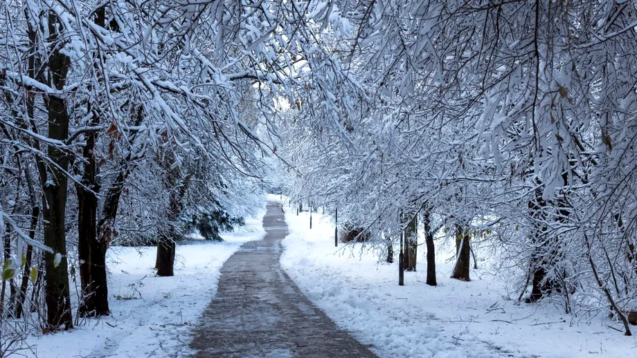 Un front polar loveşte din nou România. Vin ploi în toată ţara, lapoviţă şi ninsori în zona montană