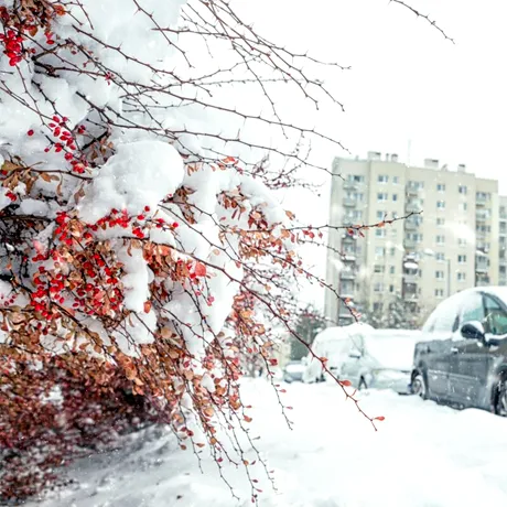 Meteorologii avertizează! Iarna 2025-2026 ar putea fi una dintre cele mai aspre din ultimele decenii