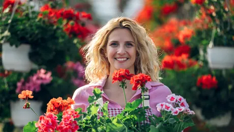 Secretul mușcatelor care înfloresc din abundență primăvara. Cum le pregătești corect pentru iernare