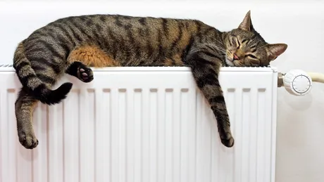 De ce e bine să pui folie de aluminiu în spatele caloriferelor. Trucul care îți scade factura la gaze