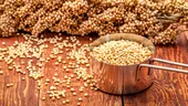 Sorgul, cereala care înlocuiește quinoa. Este excelentă în dietele fără gluten