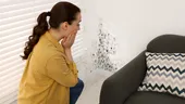 Cum să cureți mucegaiul de pe perete în mai puțin de 10 minute. Nu trebuie să zugrăvești