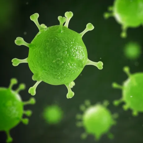 Alertă OMS! O nouă variantă a virusului mpox se răspândește rapid la nivel mondial