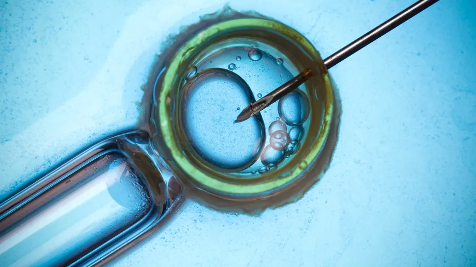 Fertilizarea in vitro: despre mama surogat şi rejuvenarea ovarelor