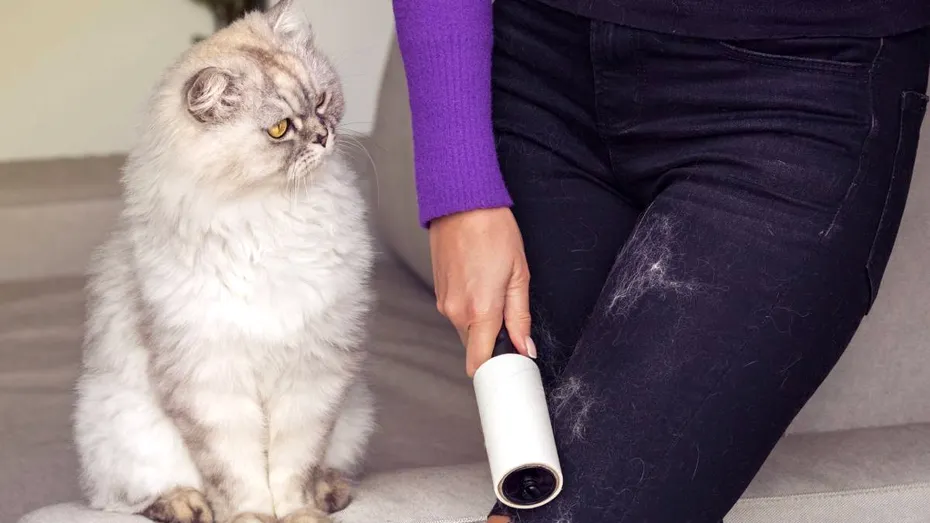 Ce trebuie să pui în cuva mașinii de spălat să scapi de tot părul de animale de pe haine. Îl curăță pe tot!