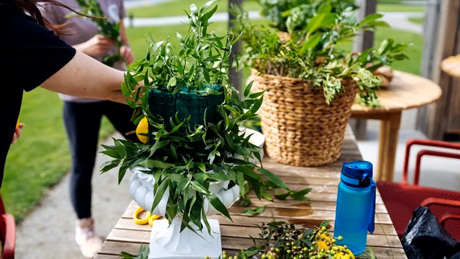 Metoda care ajută plantele să reziste căldurii extreme. Le salvează de la uscare și vor arăta mereu fresh