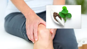 5 plante medicinale pe care le poți combina cu Giloy pentru susținerea sănătății articulațiilor