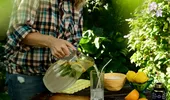 „Limonada de deparazitare” face furori pe internet. Rețeta cu plante și condimente care a devenit virală, dar medicii avertizează / VIDEO