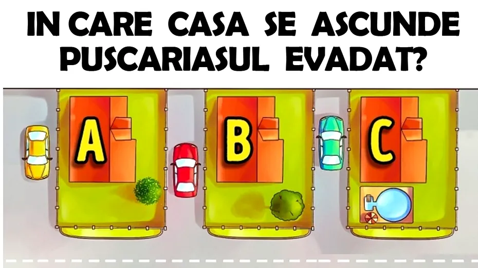 Test de inteligență pentru genii | În care casă se ascunde pușcăriașul evadat?