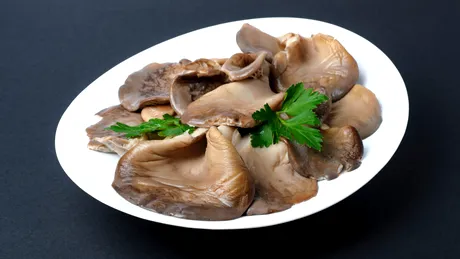 Ciuperci pleurotus murate pentru iarnă. Rețeta simplă și gustoasă