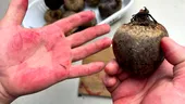 Leguma care scade instant tensiunea arterială, fără să renunți la sare. „Nu este niciodată prea târziu să îți reduci tensiunea arterială, cu excepția persoanelor care au trecut de 100 de ani”