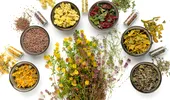 Cele mai puternice plante medicinale pentru sănătate: ce să folosești pentru detoxifiere, rinichi, memorie sau inflamații