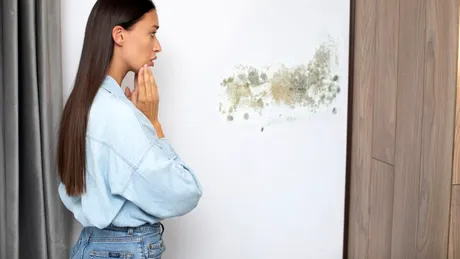 Ce se întâmplă dacă ignori mucegaiul din casă? Semnele că problema îți poate afecta sănătatea