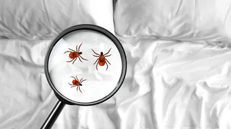 Cum să scapi de plosnițele din lenjeria de pat prin spălare corectă