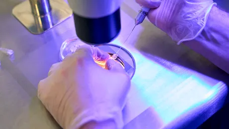 Descoperire revoluționară: Celulele stem ar putea deveni scutul biologic împotriva expunerii letale la radiații