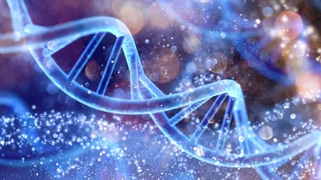 Știința confirmă că postul este un aliat real al longevității, regenerând corpul și mintea