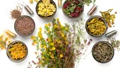 Cele mai puternice plante medicinale pentru sănătate: ce să folosești pentru detoxifiere, rinichi, memorie sau inflamații