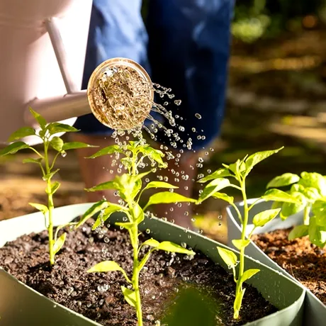 Cum udăm corect grădina în timpul verii? Sfaturile specialiștilor pentru plante sănătoase și un gazon impecabil