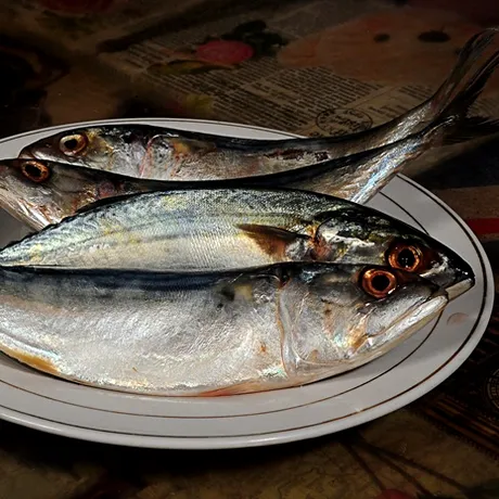 Atenție la peștele pe care îl consumați! Specii cu risc ridicat de mercur