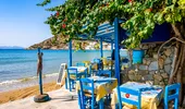 A crescut numărul atacurilor peștelui-iepure în Grecia. Autoritățile iau măsuri: ce le recomandă turiștilor?