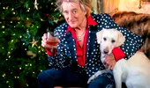 Obiceiurile alimentare extravagante ale lui Rod Stewart la 79 de ani! Soția spune că sunt „peste puterile ei”