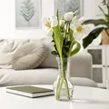 Obiectele care pot bloca energia pozitivă în casă. Recomandările Feng Shui pentru mai multă armonie