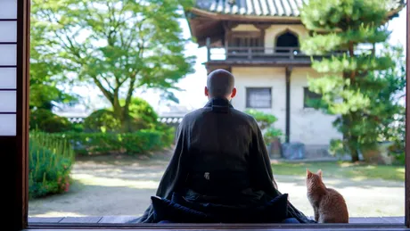 Înțelepciunea japoneză care reduce tensiunea și te ajută să treci peste orice