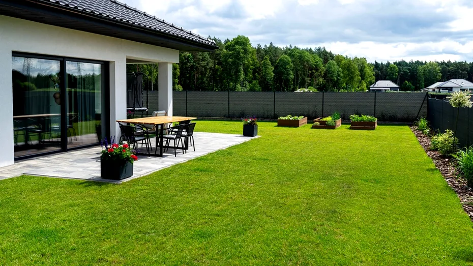 De ce unii grădinari presară detergent de rufe pe gazon iarna?