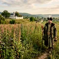 De unde provine expresia „Treci ca Vodă prin lobodă”? E una dintre cele mai cunoscute vorbe românești