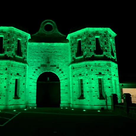 Clădiri iluminate în verde pentru a atrage atenția asupra bolilor mitocondriale. La fiecare 30 de minute se naște un copil care va dezvolta o astfel de afecțiune