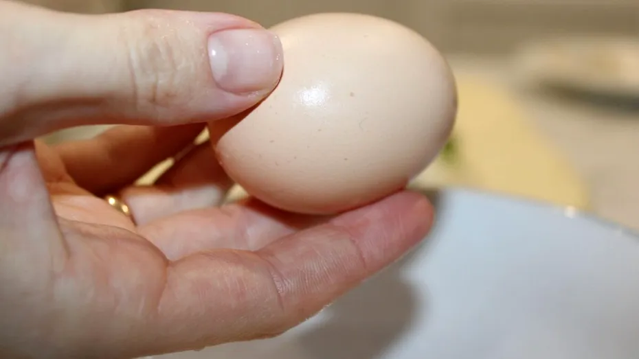Cum să verifici ouăle dacă sunt proaspete! Trucuri rapide pentru siguranța alimentară în bucătărie