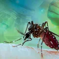 Cum scapi de țânțari fără insecticide: 5 soluții naturale pentru casa ta