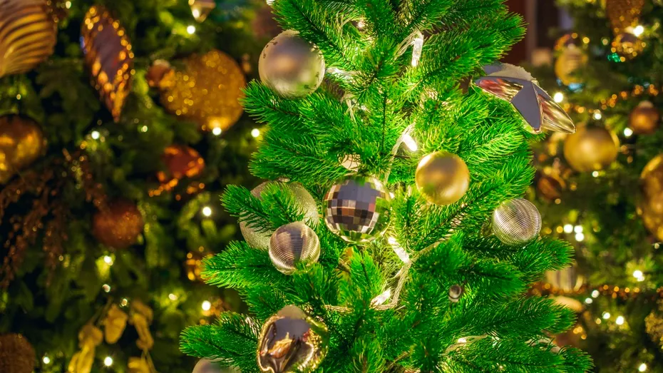 Nu îți lăsa bradul să moară înainte de sfârșitul sărbătorilor! Trucuri pe care grădinarii nu ți le spun
