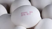 Ce anume semnifică fiecare cifră din codul de marcat de pe ouă, de fapt