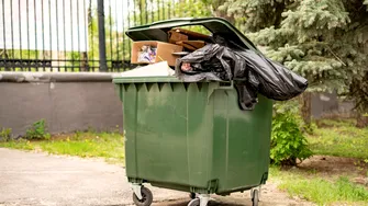 Cum scapi de muștele din jurul tomberonului. Trucurile simple care pot ține insectele la distanță în zilele călduroase