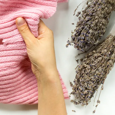 Scapă definitiv de moliile din dulap. Trucuri simple care chiar funcționează. Trebuie să le puneți neapărat în aplicare!