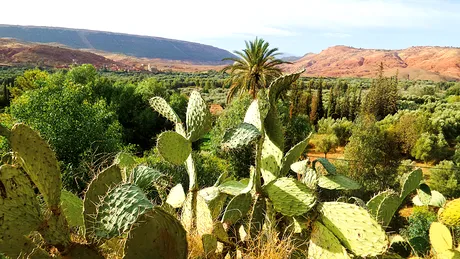 Maroc, ţara care uneşte destine!