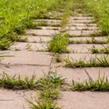 Ce să adaugi peste dalele din curte ca să nu mai crească niciodată buruieni. Trucuri ieftine pentru o grădină de vis